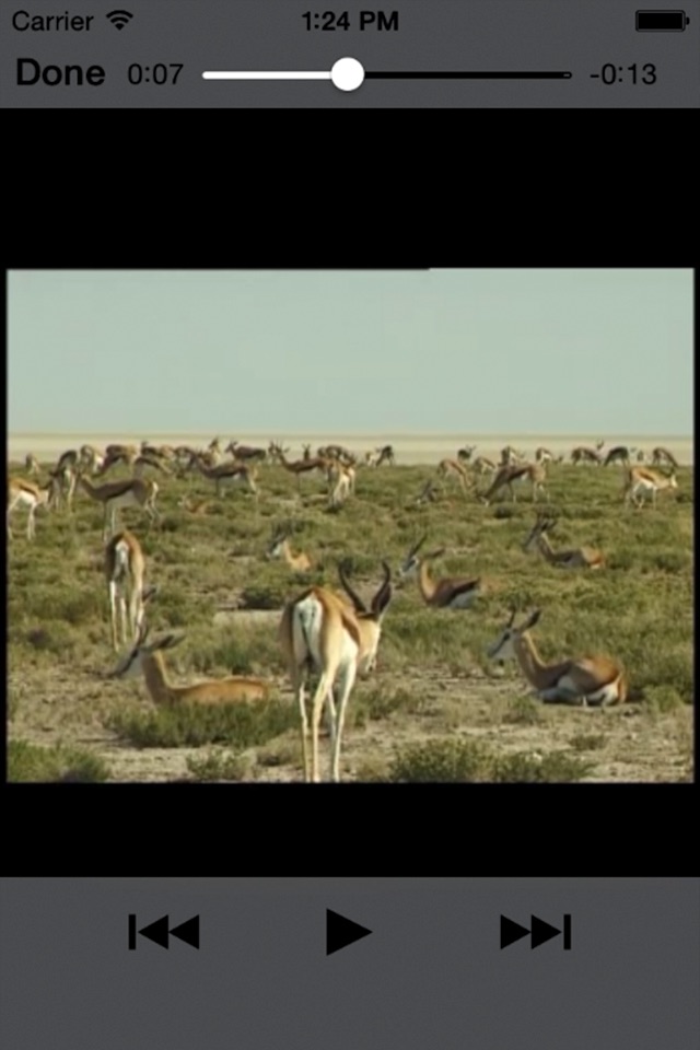 Sasol Natuurlewe vir Beginners (Lite): Blitsfeite, foto's en video's van 46 Suider-Afrikaanse diere screenshot 4