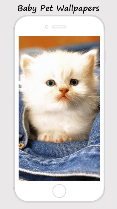 How to cancel & delete Baby Pet Wallpapers - Collections Of Baby Animals Pictures from iphone & ipad 4