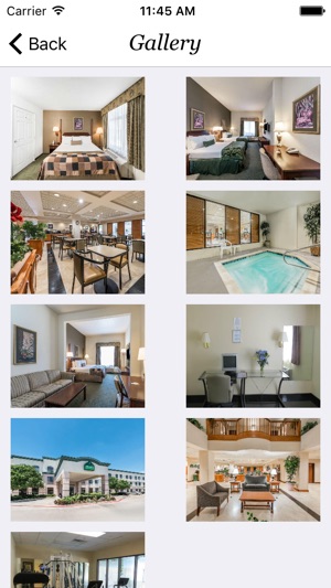 Wingate by Wyndham Dallas Love Field(圖1)-速報App