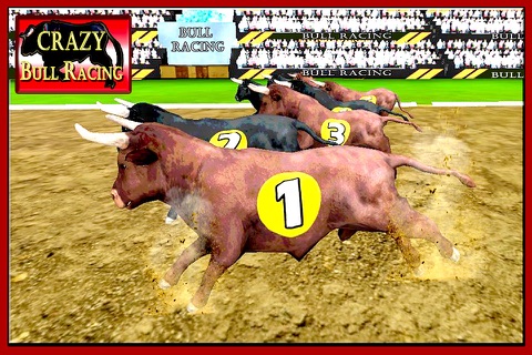 Angry Fighter Bull Running Championship 2016 – Raging Animals Virtual Racing Simulator screenshot 2