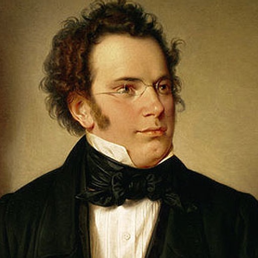 Schubert Symphonies icon