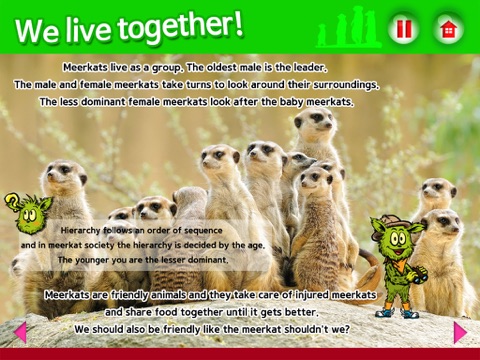 meerkat boots on the zoo screenshot 2