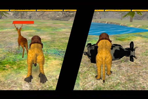 Wild Lion Simulator Game screenshot 3