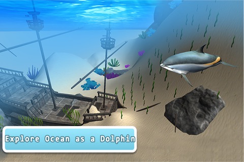 Sea Dolphin Simulator 3D screenshot 2