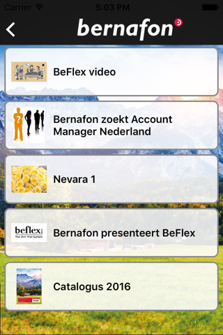 Bernafon NL screenshot 2