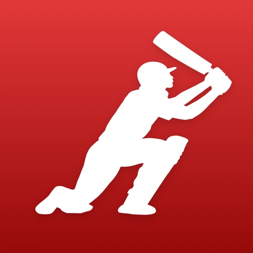Dream11 Fantasy Cricket Game Icon