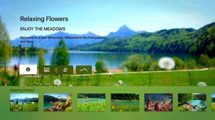 Relaxing Flowers & Meadows - Ambient Nature Wellness Yoga Video Wallpaper