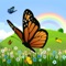 Coloring Book: Butterfly ! Coloring Pages for Toddlers