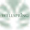 Wellspring Wealth Management