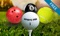Sports Pro - Golf Tennis Bowling Pool