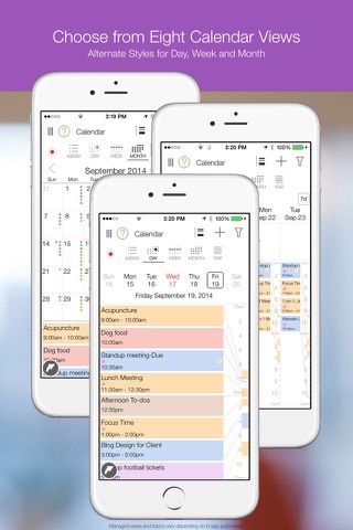 Pro.Calendar Task Planner screenshot 3