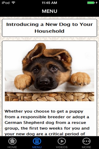 German Shepherd Puppy Training Made Easy - Best Guide & Tips For Beginners screenshot 4
