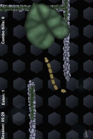 Slither Snake screenshot 3