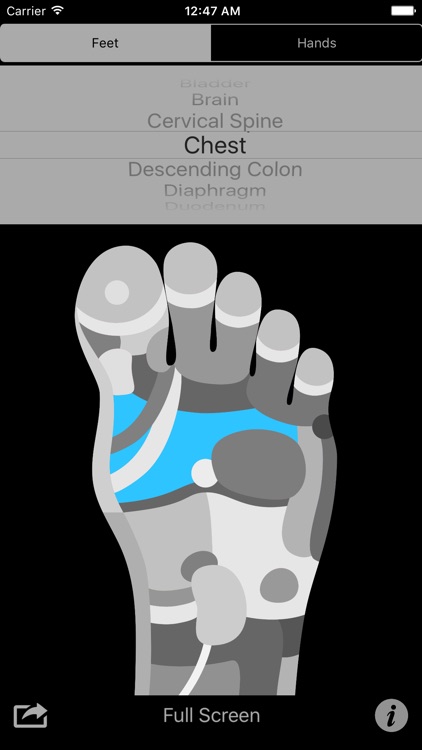 Reflexology Charts