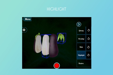 VR Brinjal screenshot 3