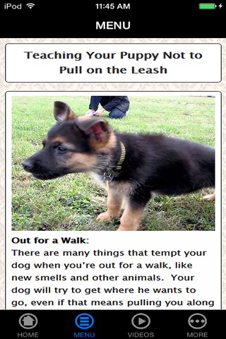 German Shepherd Puppy Training Made Easy - Best Guide & Tips For Beginners screenshot 2
