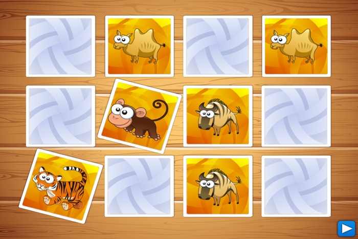 Find The Pairs Africa Edition