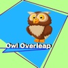 Owl Overleap