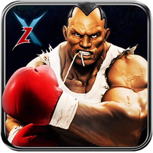 Real 3D Boxing Punch Pro Icon