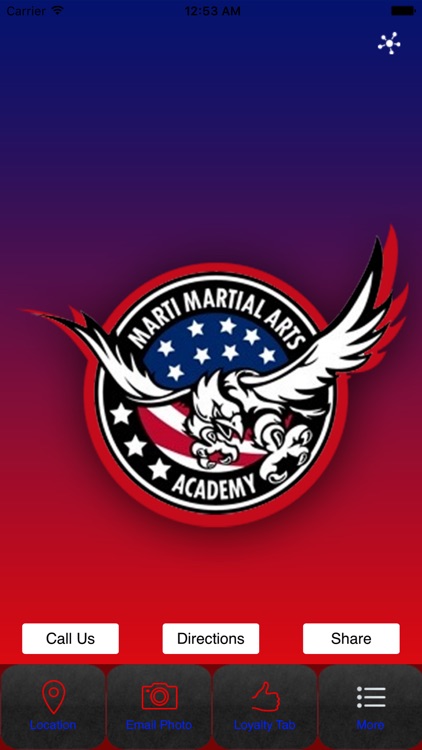 Marti Martial Arts Academy