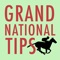 Icon Grand National Betting Tips 2016 - Free Bets & Betting Tips on the Aintree Race