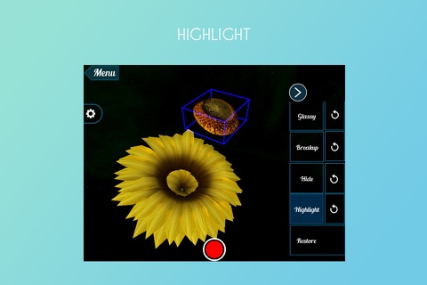 VR Sunflower screenshot 3