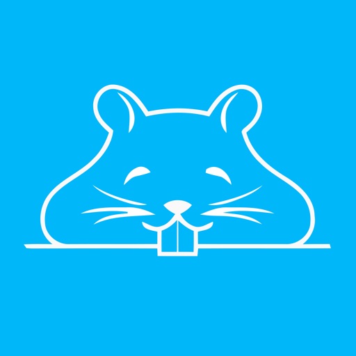 Gerbil VPN
