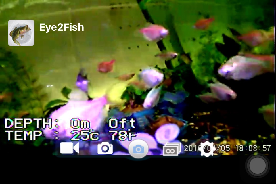 Eye2Fish screenshot 2
