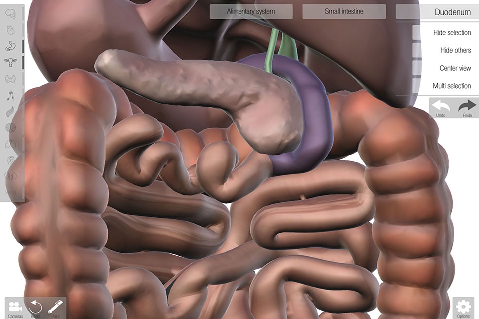 Human Anatomed screenshot 2