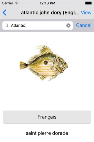 Fishionary : Edible Fish - Translations and Environmental Awareness screenshot 4