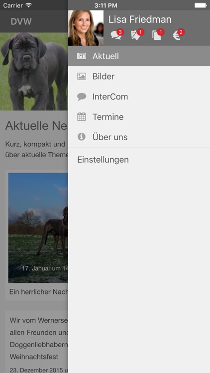 Doggen vom Wernerseck