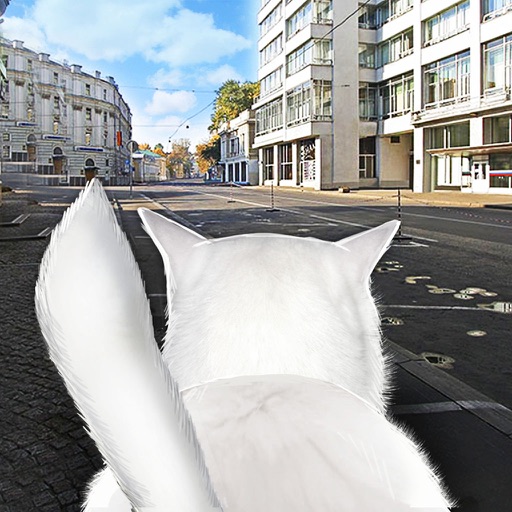 Cat In City Simulator iOS App