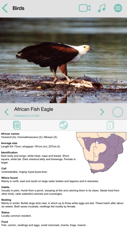 Sasol Common Birds for Beginners (Lite): Quick facts, photos and videos of 46 common southern African birds