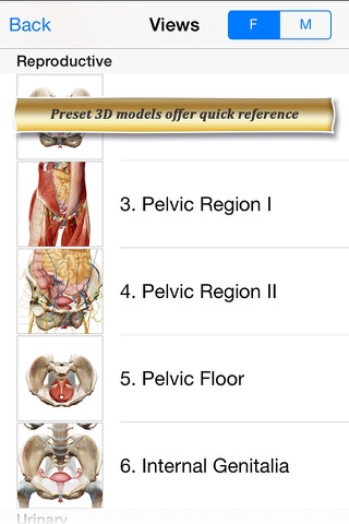 Reproductive and Urinary Anatomy Atlas: Essential Reference for Students and Healthcare Professionals screenshot 2