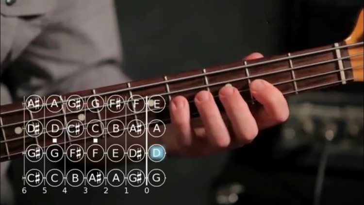 Play Bass screenshot-3