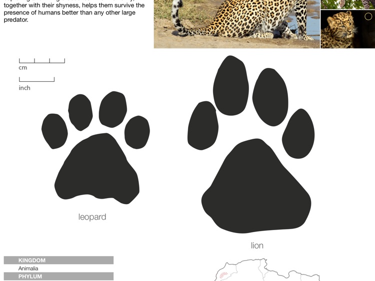 MY SAFARI - Ranger Edition HD
