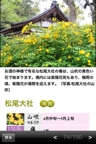 ぶらぶら京都　京都の花めぐり screenshot 3