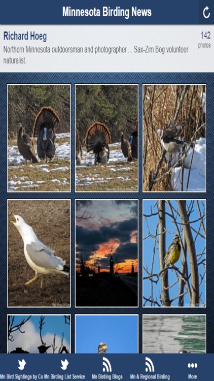 Minnesota Birding News