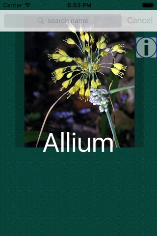 Flowers Dictionary Pro screenshot 4