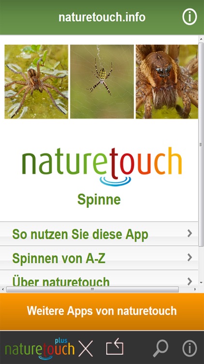 Spinnen und Spinnentiere bestimmen screenshot-4