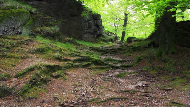 Medieval Castle Chojnik Escape