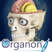 3D Organon Anatomy - Brain and Nervous System apk