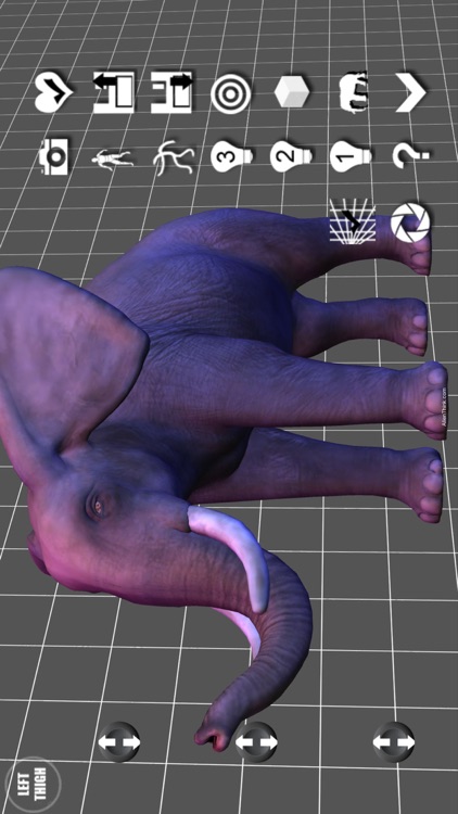 Elephant Pose Tool 3D screenshot-3