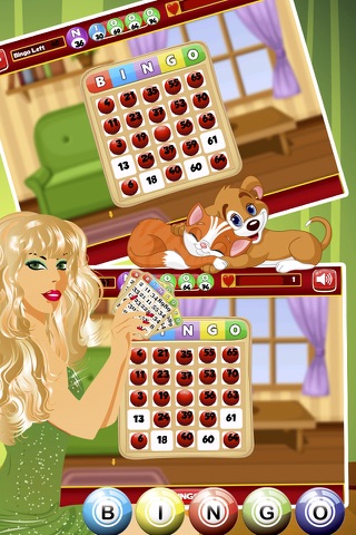 Bingo Fairy screenshot 4