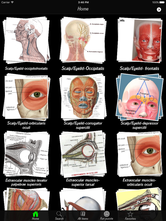 Human Muscles Infoのおすすめ画像3