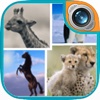 Wildlife Frame Photo Editor: Camera Holiday Picture Collage