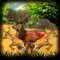 Safari Wild Deer Hunt - Sniper Kill
