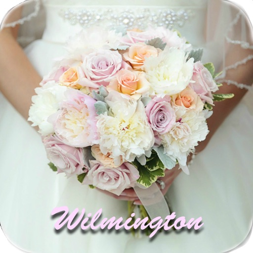 Wilmington Wedding icon