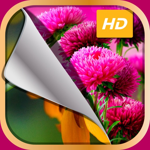 HD Flower Wallpaper.s – Beautiful Floral Themes and Custom Lock Sreen Background.s icon