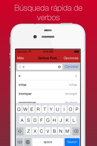 Portuguese Verb Conjugator Pro screenshot 4